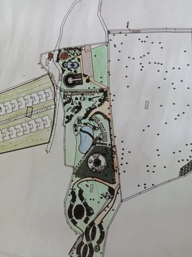 Structural Anatomy Sketches